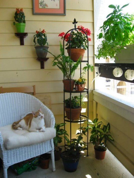 Növénydekoráció kis erkélyre
